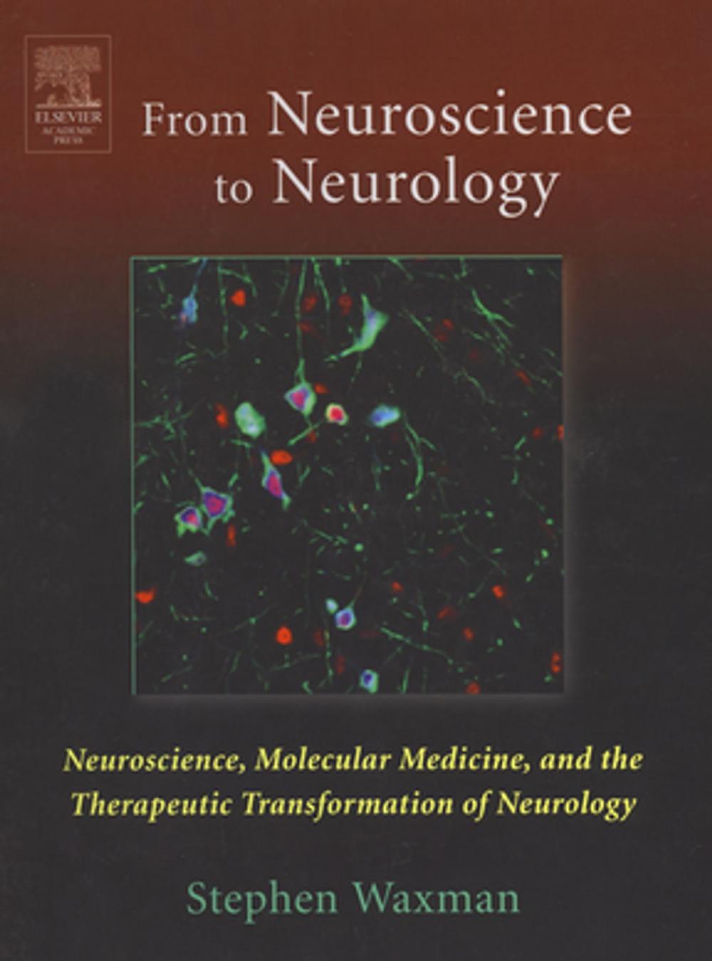 Big bigCover of From Neuroscience to Neurology