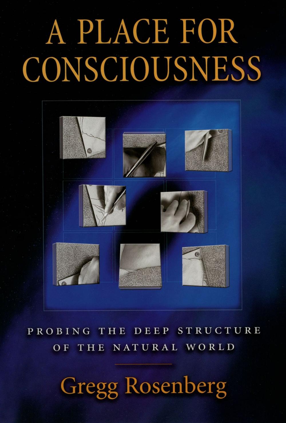 Big bigCover of A Place for Consciousness