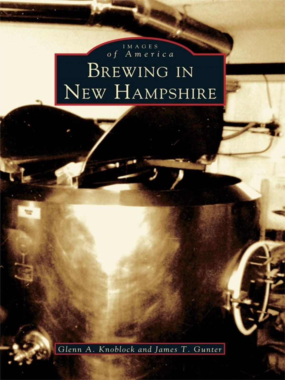 Big bigCover of Brewing in New Hampshire