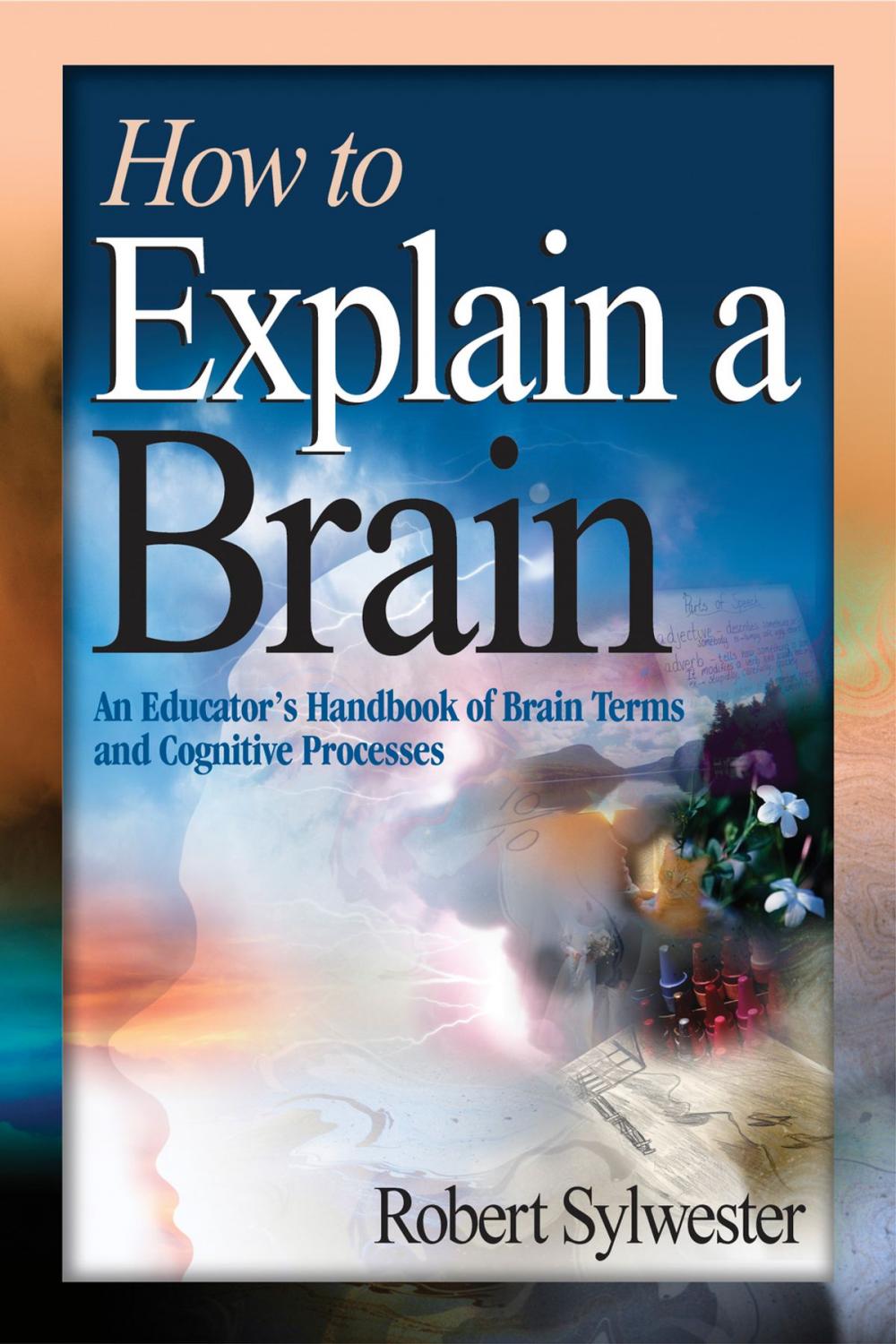 Big bigCover of How to Explain a Brain