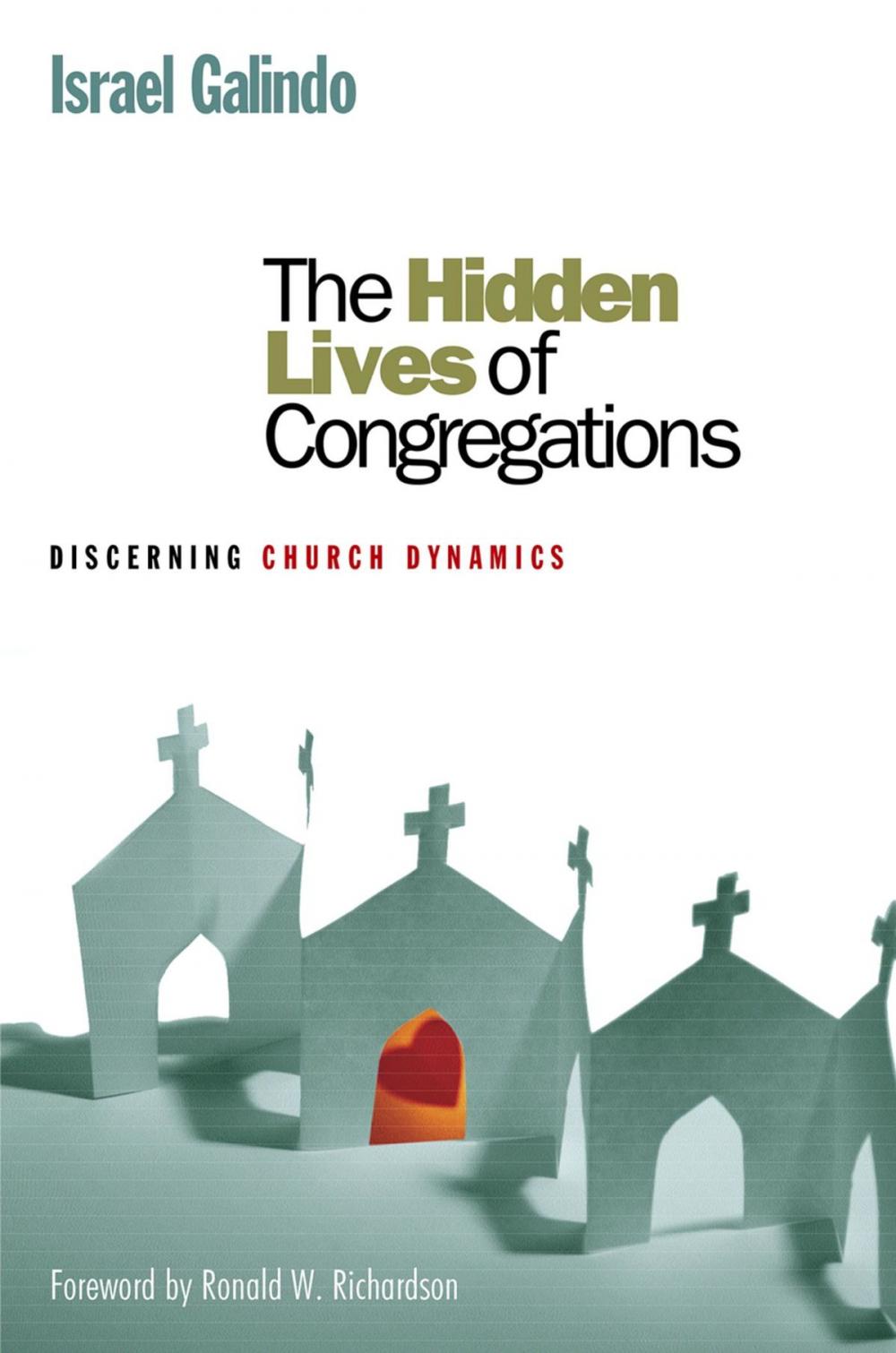 Big bigCover of The Hidden Lives of Congregations