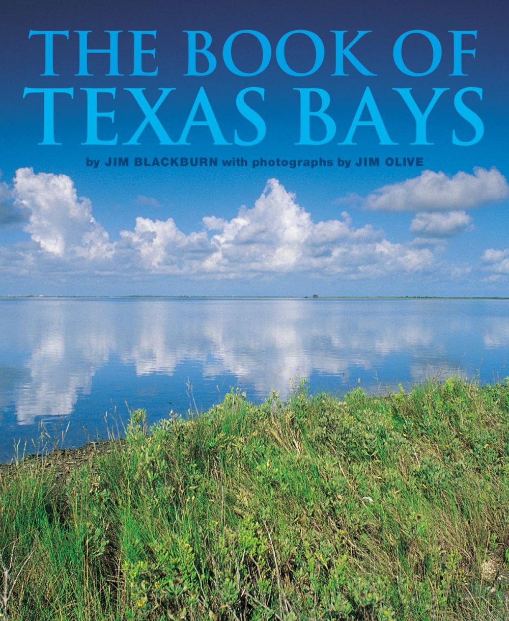 Big bigCover of The Book of Texas Bays