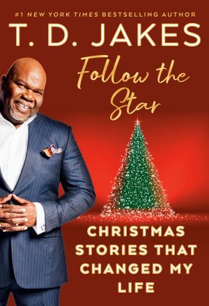 Cover of the book Follow the Star by Angela Knight