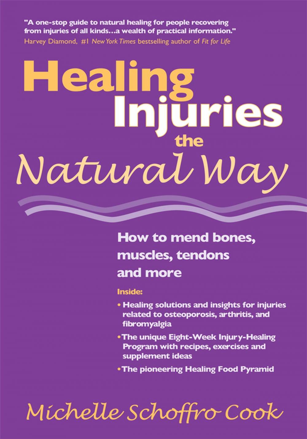 Big bigCover of Healing Injuries the Natural Way