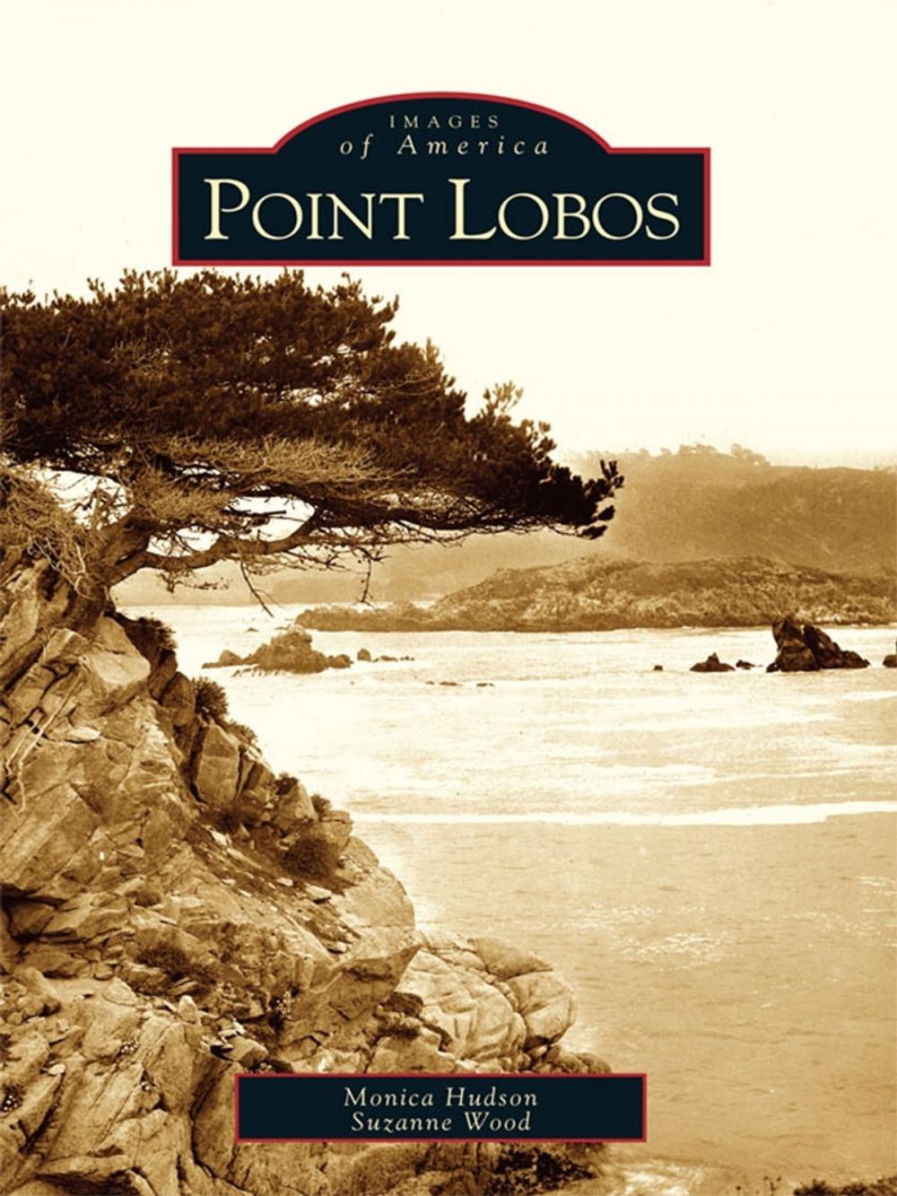 Big bigCover of Point Lobos