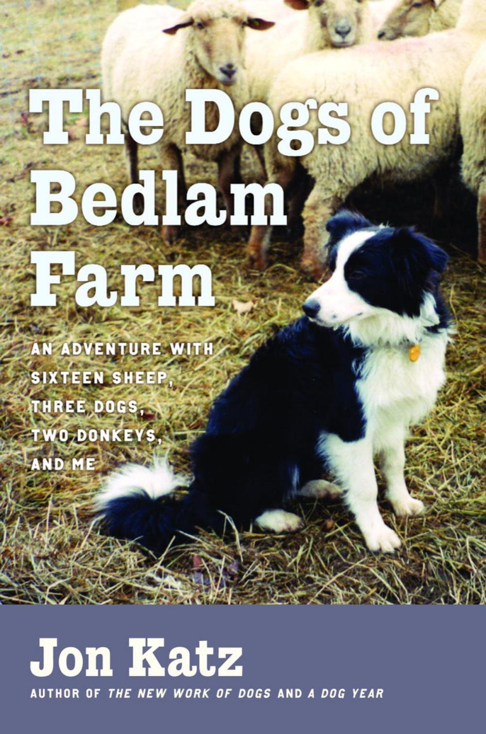 Big bigCover of The Dogs of Bedlam Farm