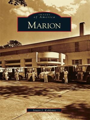 Cover of the book Marion by Natalie Joy Woodall