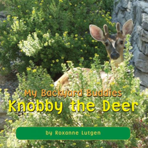 Cover of the book My Backyard Buddies by Roxanne Lutgen, Xlibris US