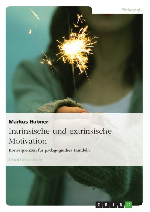 Cover of the book Intrinsische und extrinsische Motivation. Konsequenzen für pädagogisches Handeln by Markus Hubner, GRIN Verlag