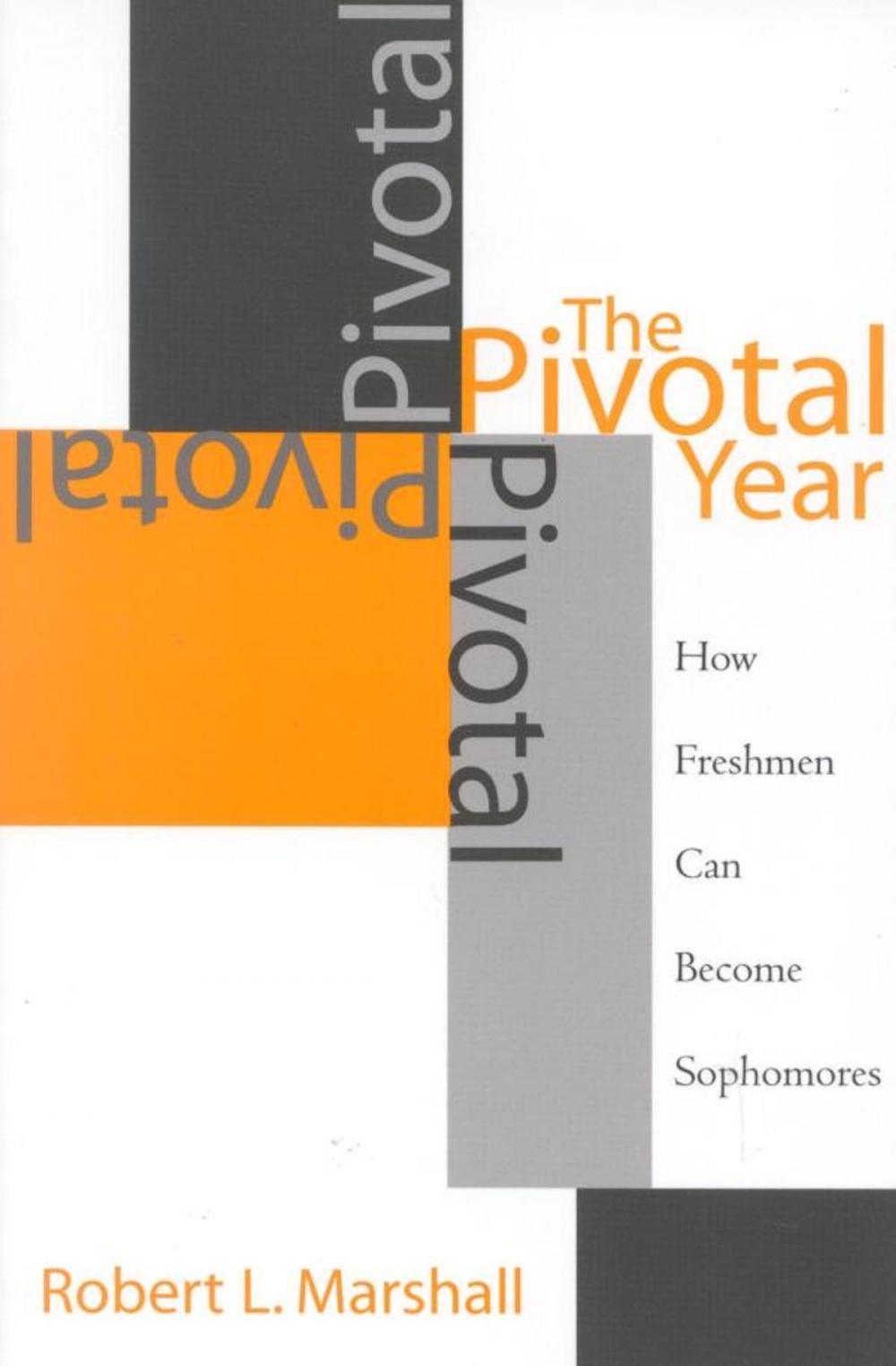 Big bigCover of The Pivotal Year