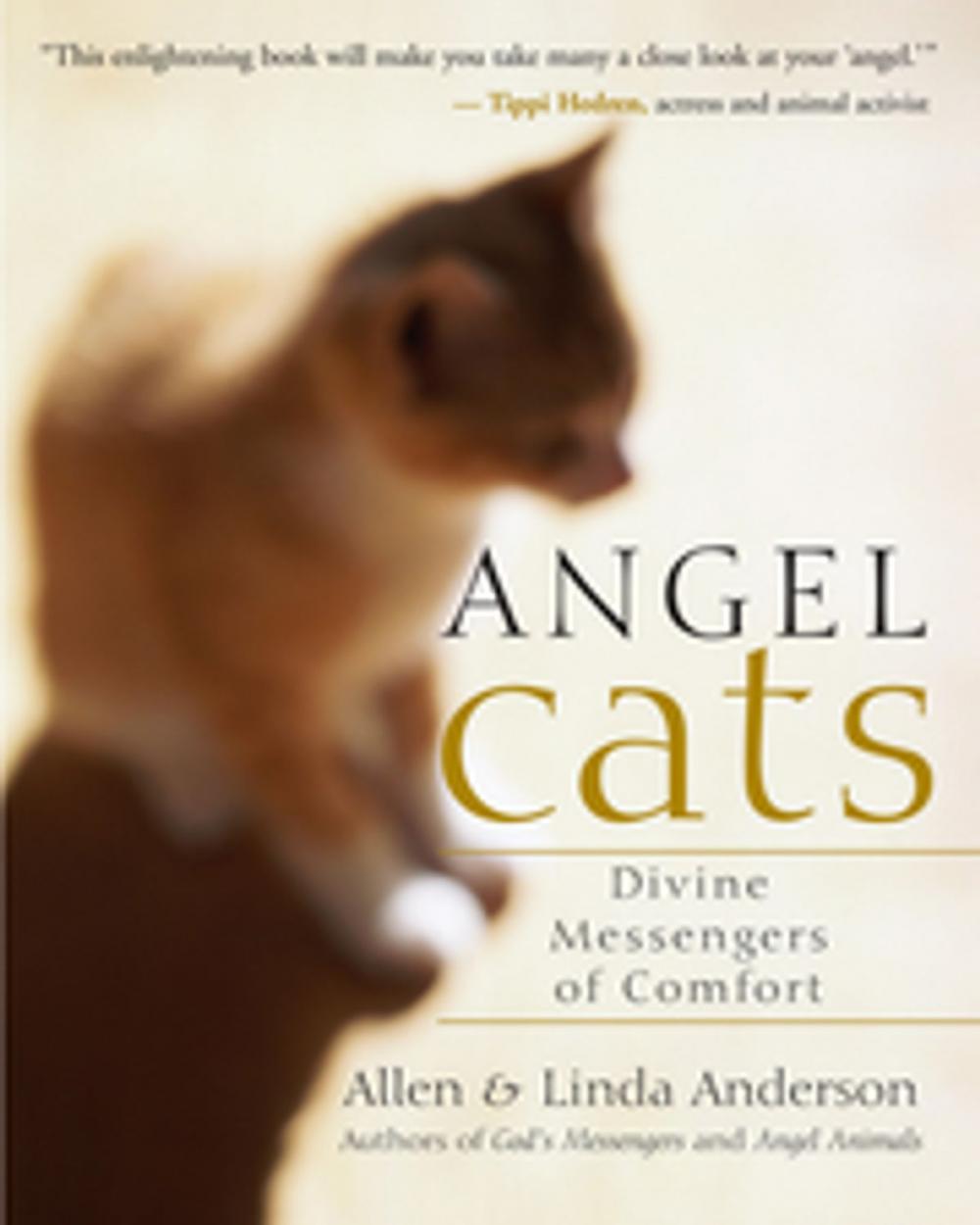 Big bigCover of Angel Cats