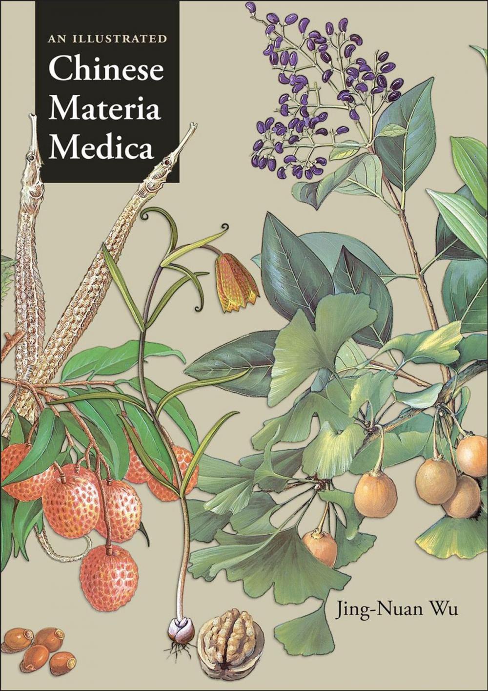 Big bigCover of An Illustrated Chinese Materia Medica