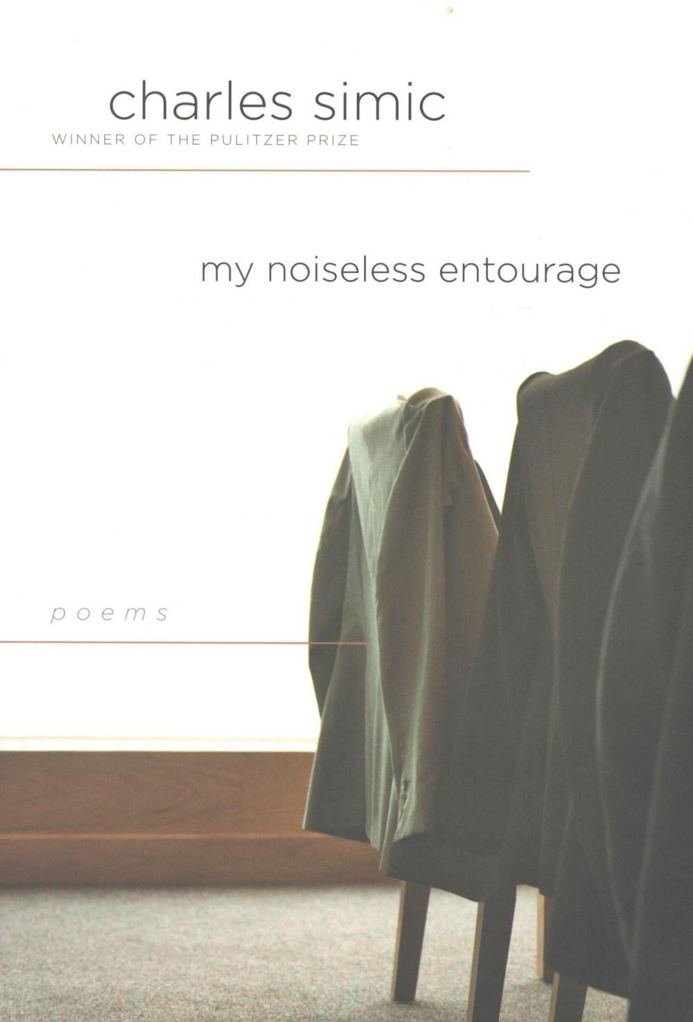 Big bigCover of My Noiseless Entourage