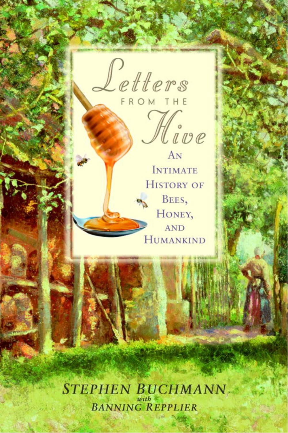 Big bigCover of Letters from the Hive