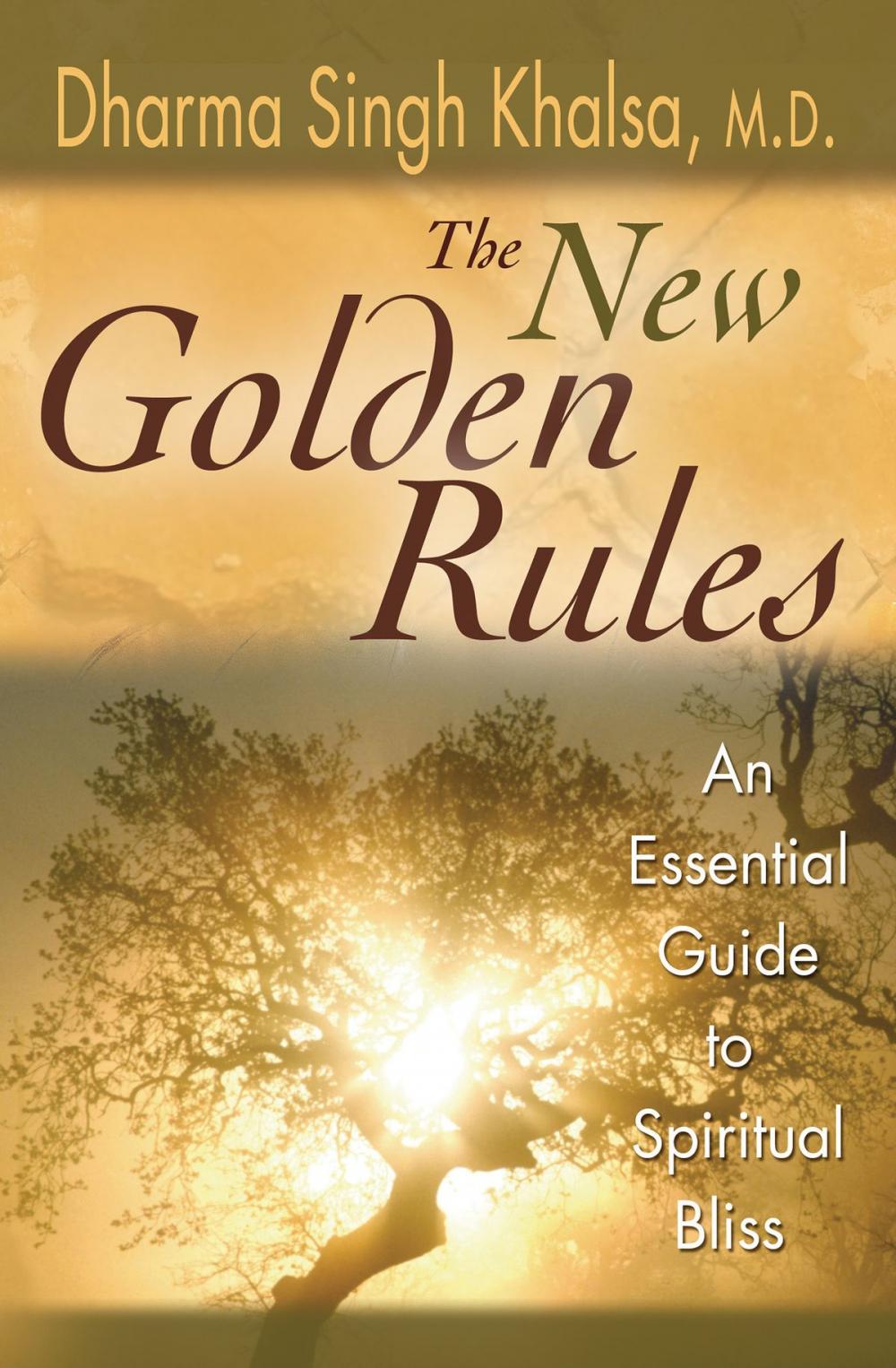 Big bigCover of The New Golden Rules