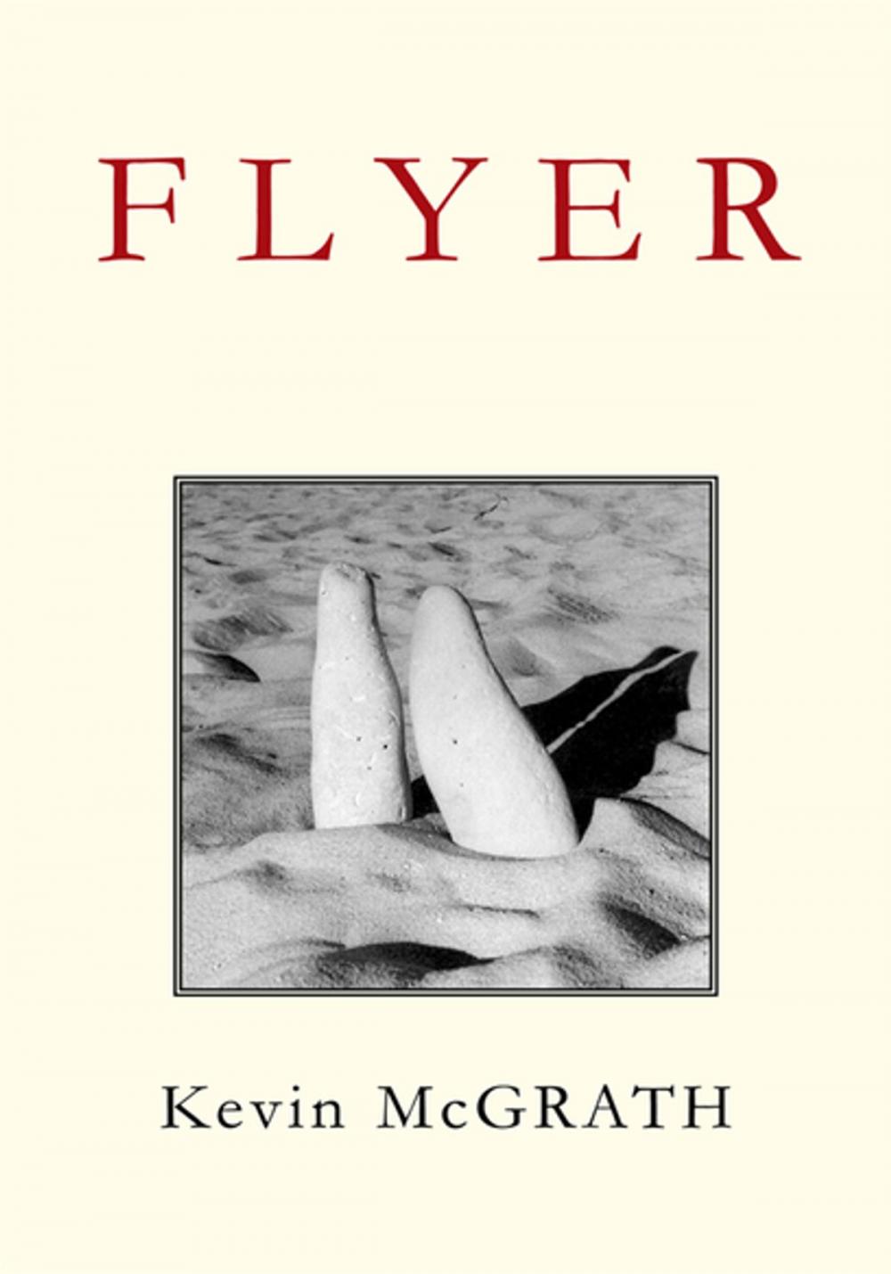 Big bigCover of F L Y E R