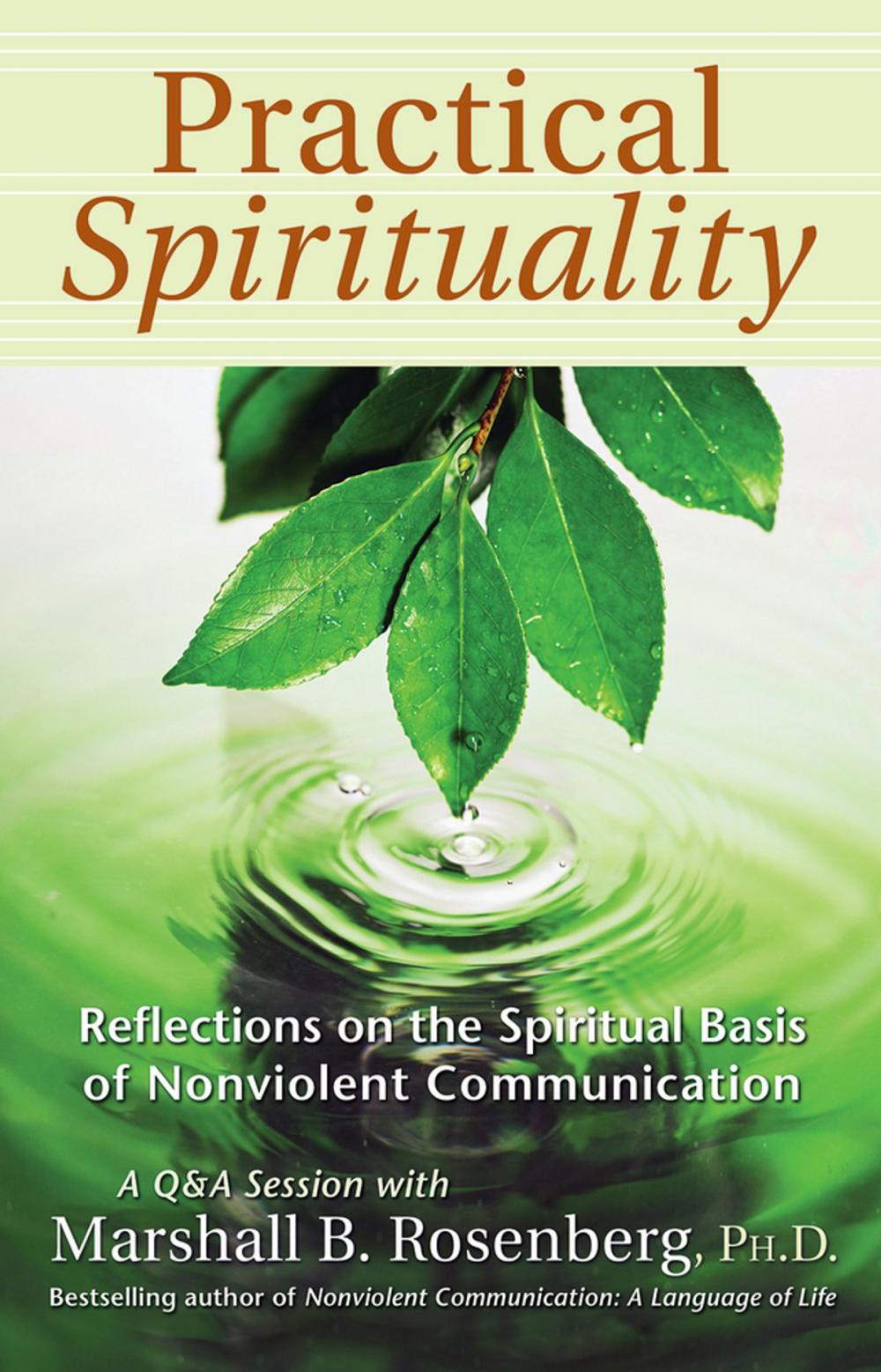 Big bigCover of Practical Spirituality