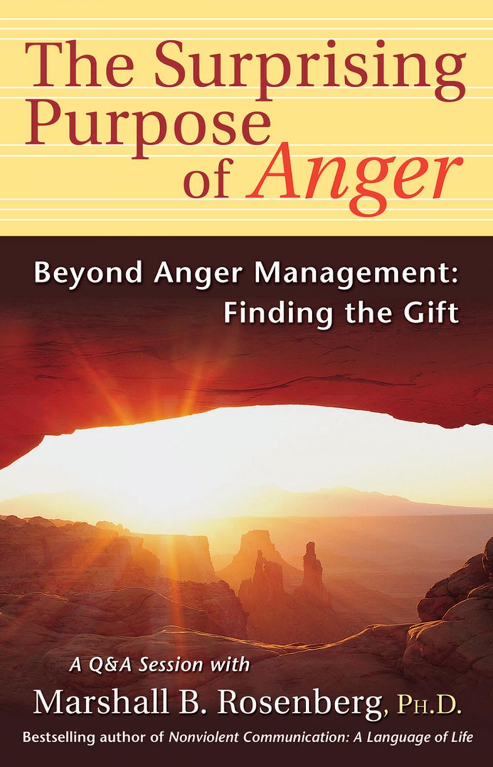 Big bigCover of Surprising Purpose of Anger