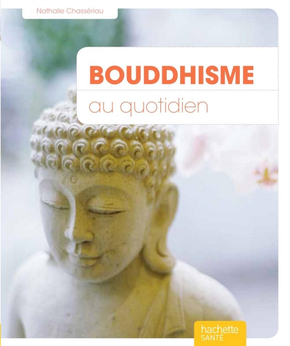 Big bigCover of Bouddhisme au quotidien