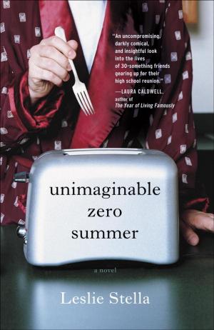Book cover of Unimaginable Zero Summer