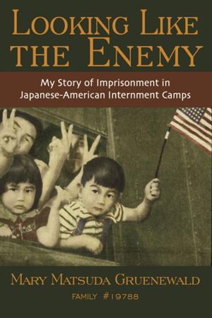 Book cover of Looking Like the Enemy