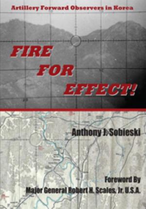 Cover of the book Fire for Effect! by Lee Ann Turnquist