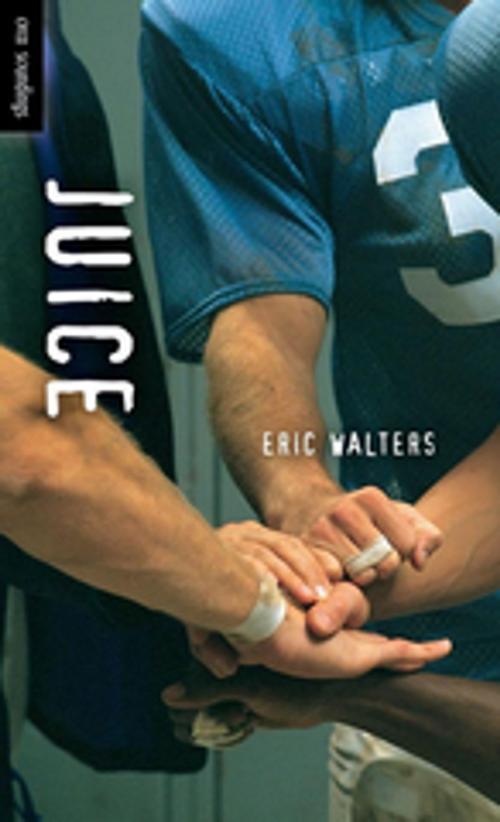 Cover of the book Juice by Eric Walters, Orca Book Publishers