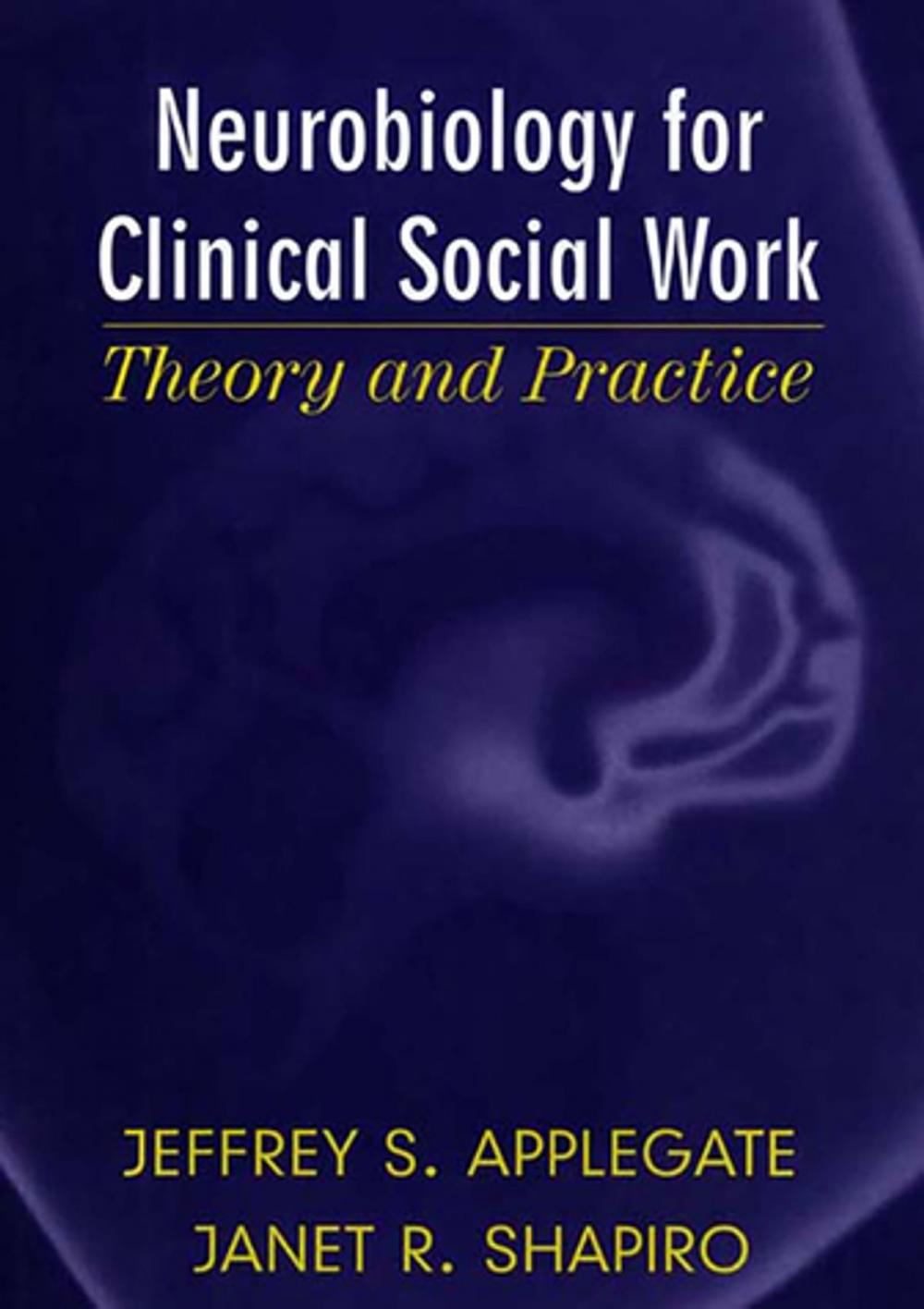 Big bigCover of Neurobiology for Clinical Social Work: Theory and Practice (Norton Series on Interpersonal Neurobiology)