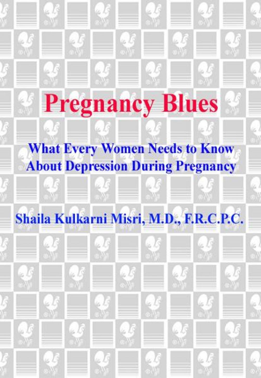 Big bigCover of Pregnancy Blues