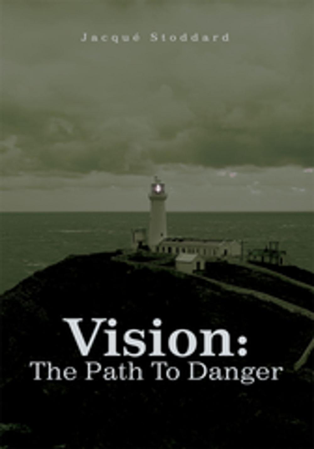 Big bigCover of Vision: the Path to Danger