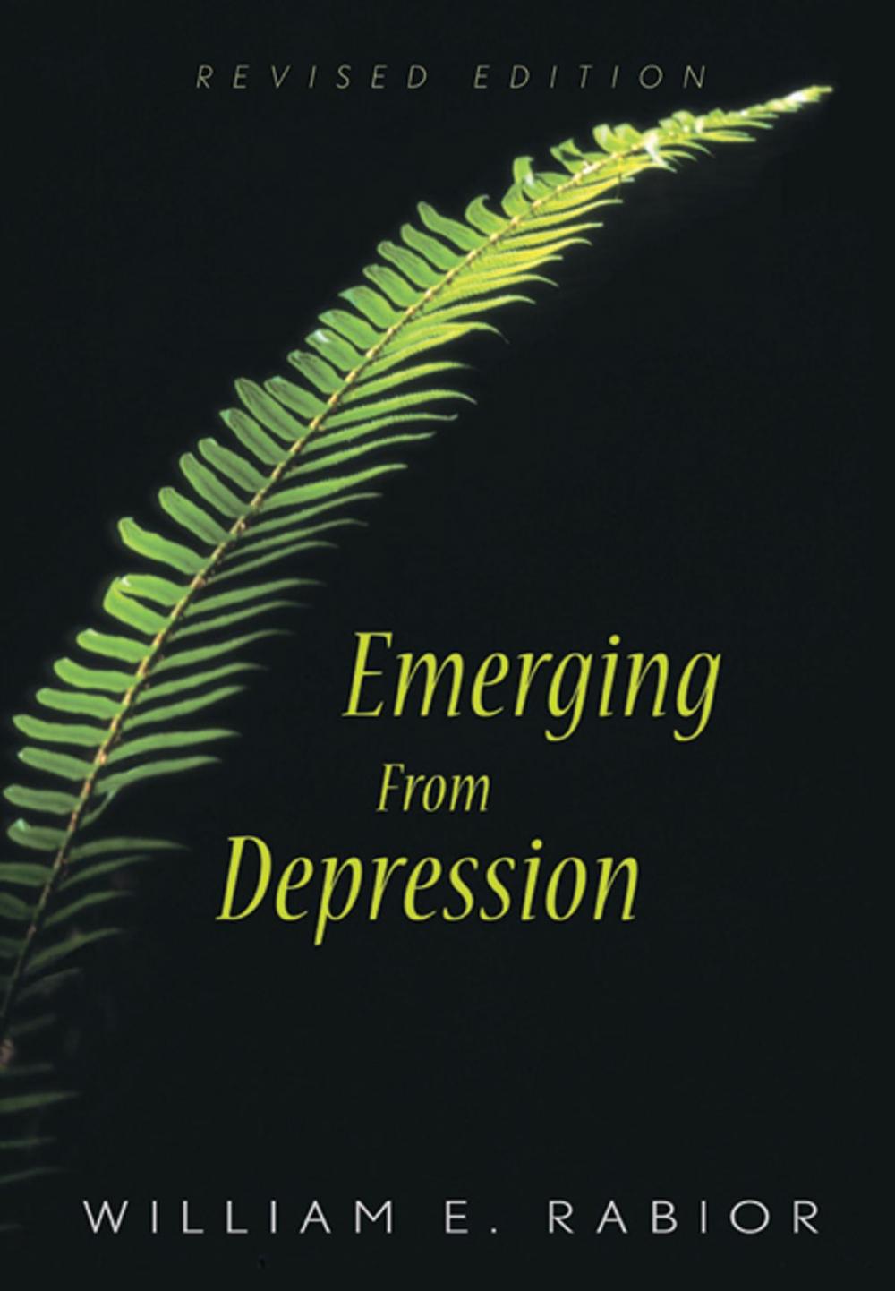 Big bigCover of Emerging From Depression