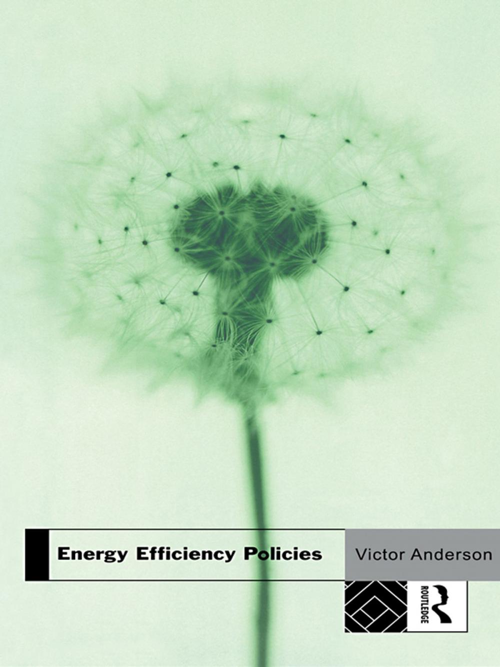 Big bigCover of Energy Efficiency Policies