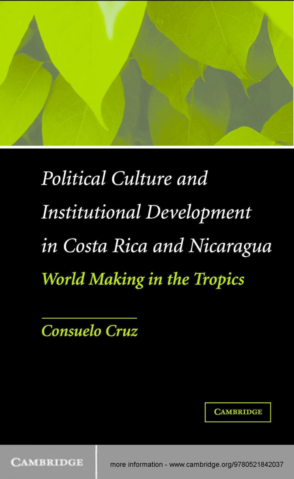 Big bigCover of Political Culture and Institutional Development in Costa Rica and Nicaragua