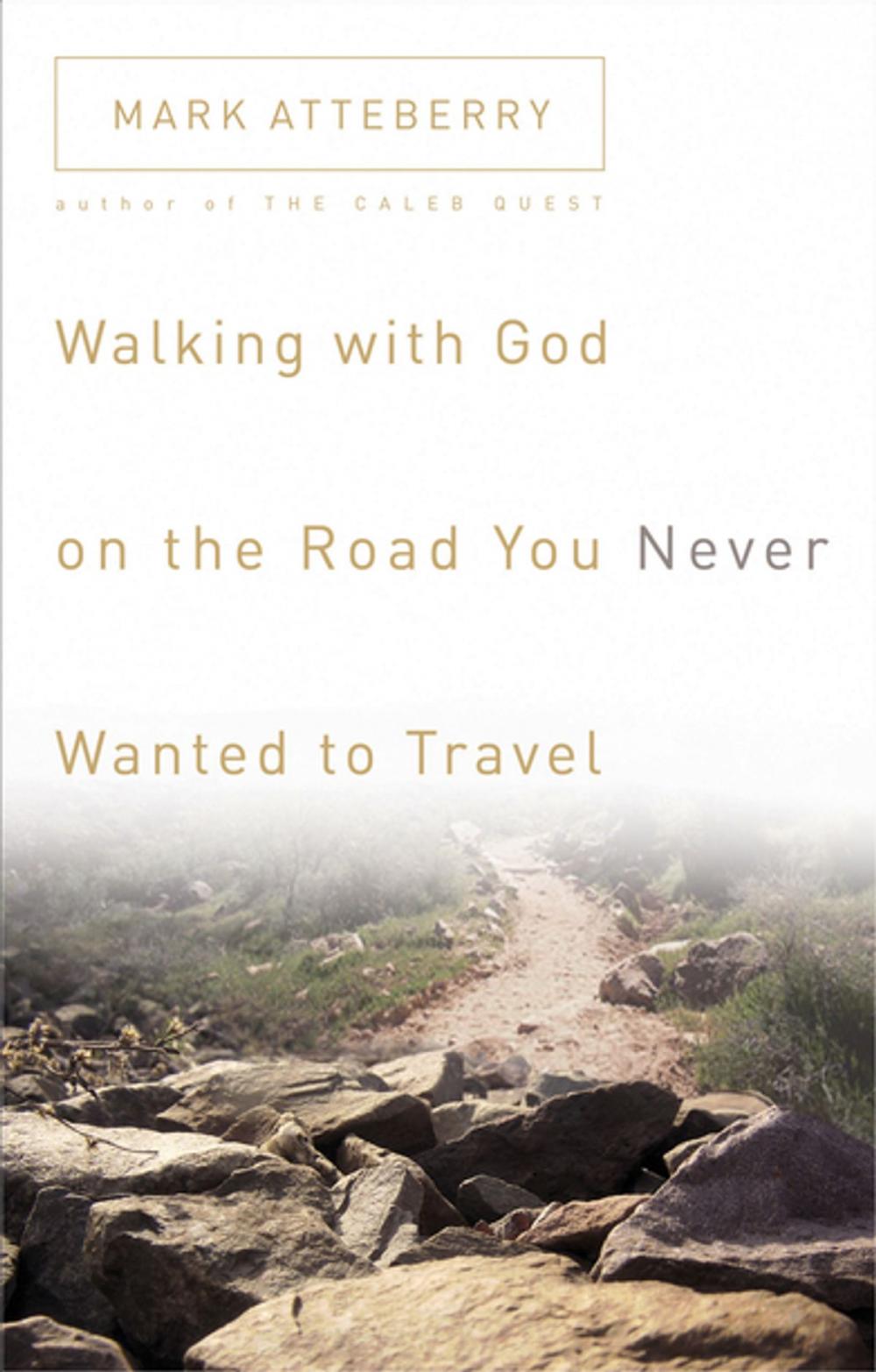 Big bigCover of Walking with God on the Road You Never Wanted to Travel