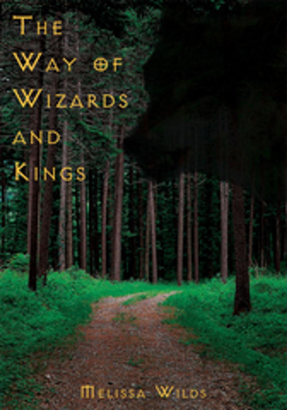 Big bigCover of The Way of Wizards and Kings