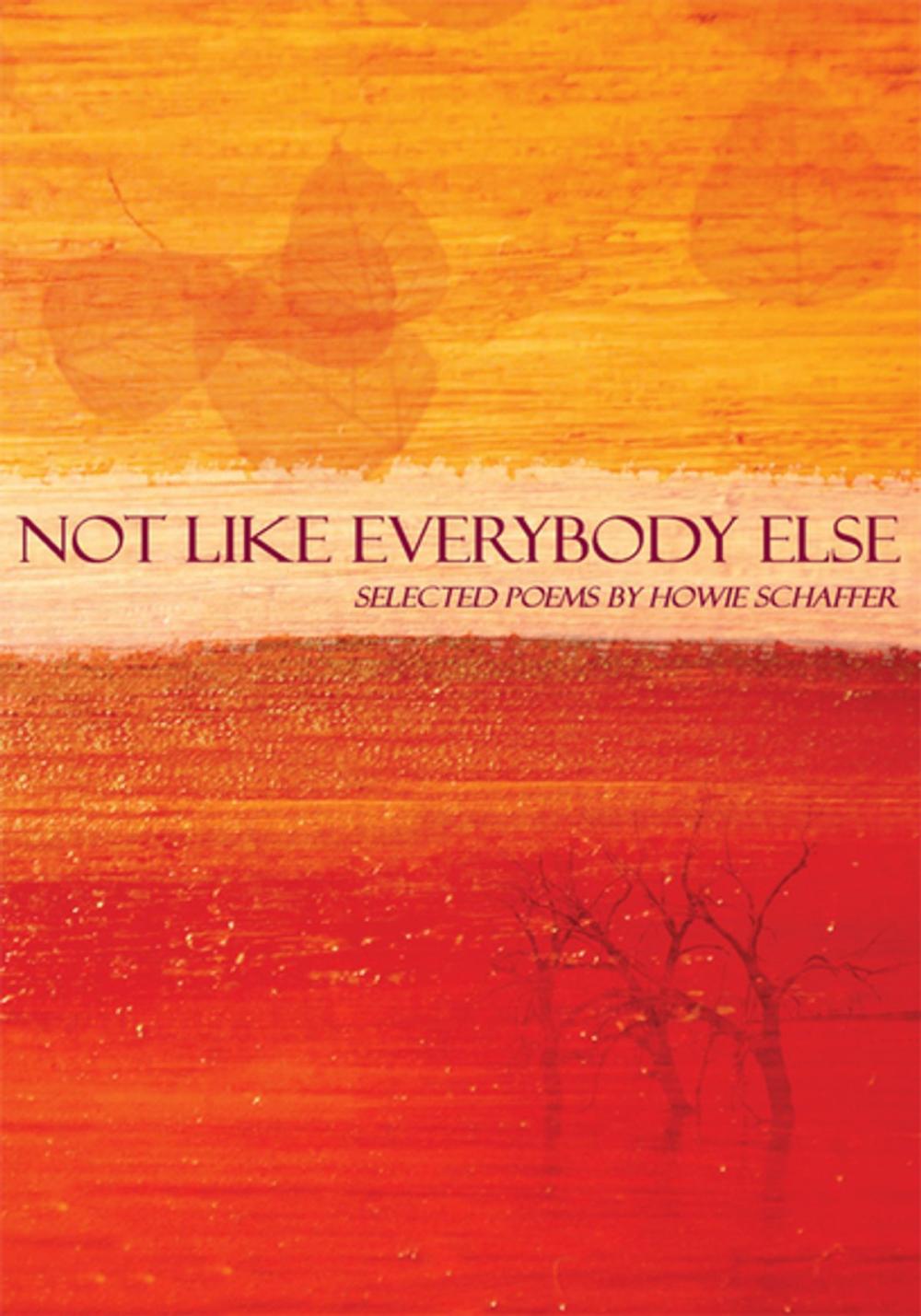 Big bigCover of Not Like Everybody Else