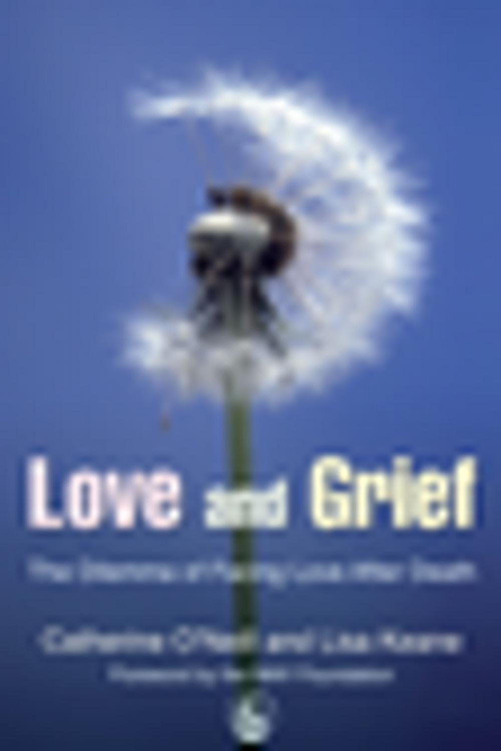 Big bigCover of Love and Grief