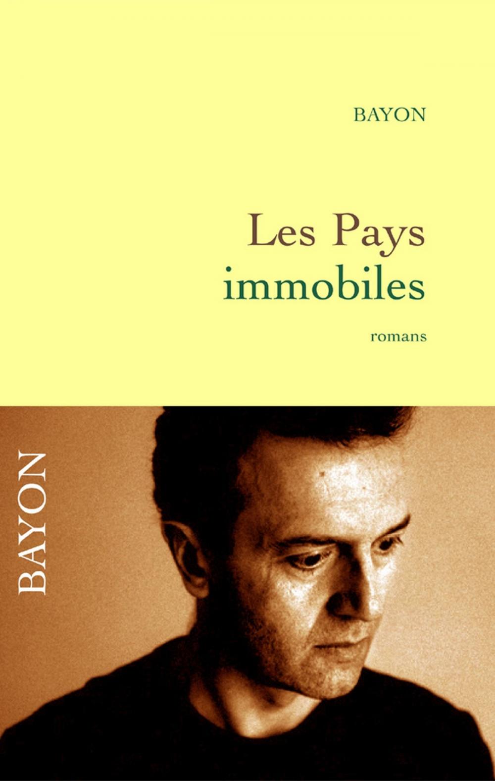 Big bigCover of Les pays immobiles