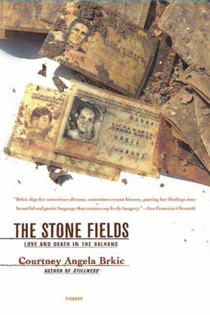 Cover of the book The Stone Fields by David Thomson