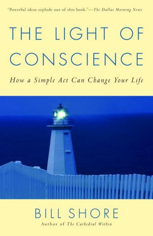 Cover of the book The Light of Conscience by Silvia Fazzari