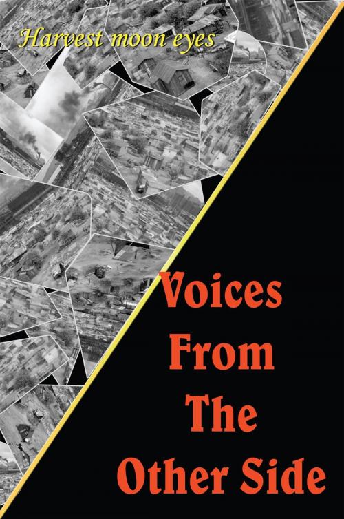 Cover of the book Voices from the Other Side by Harvest moon eyes, AuthorHouse