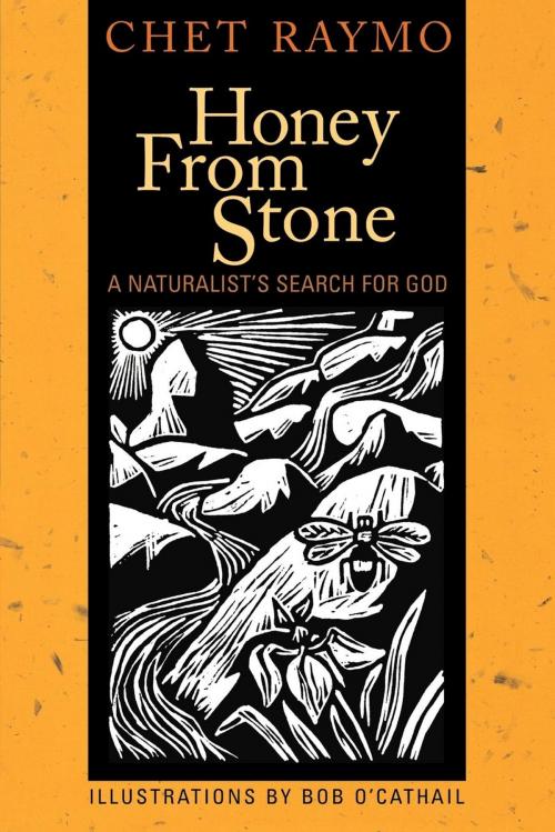 Cover of the book Honey from Stone by Chet Raymo, Cowley Publications