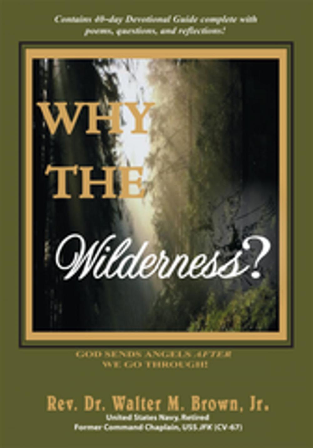 Big bigCover of Why the Wilderness?