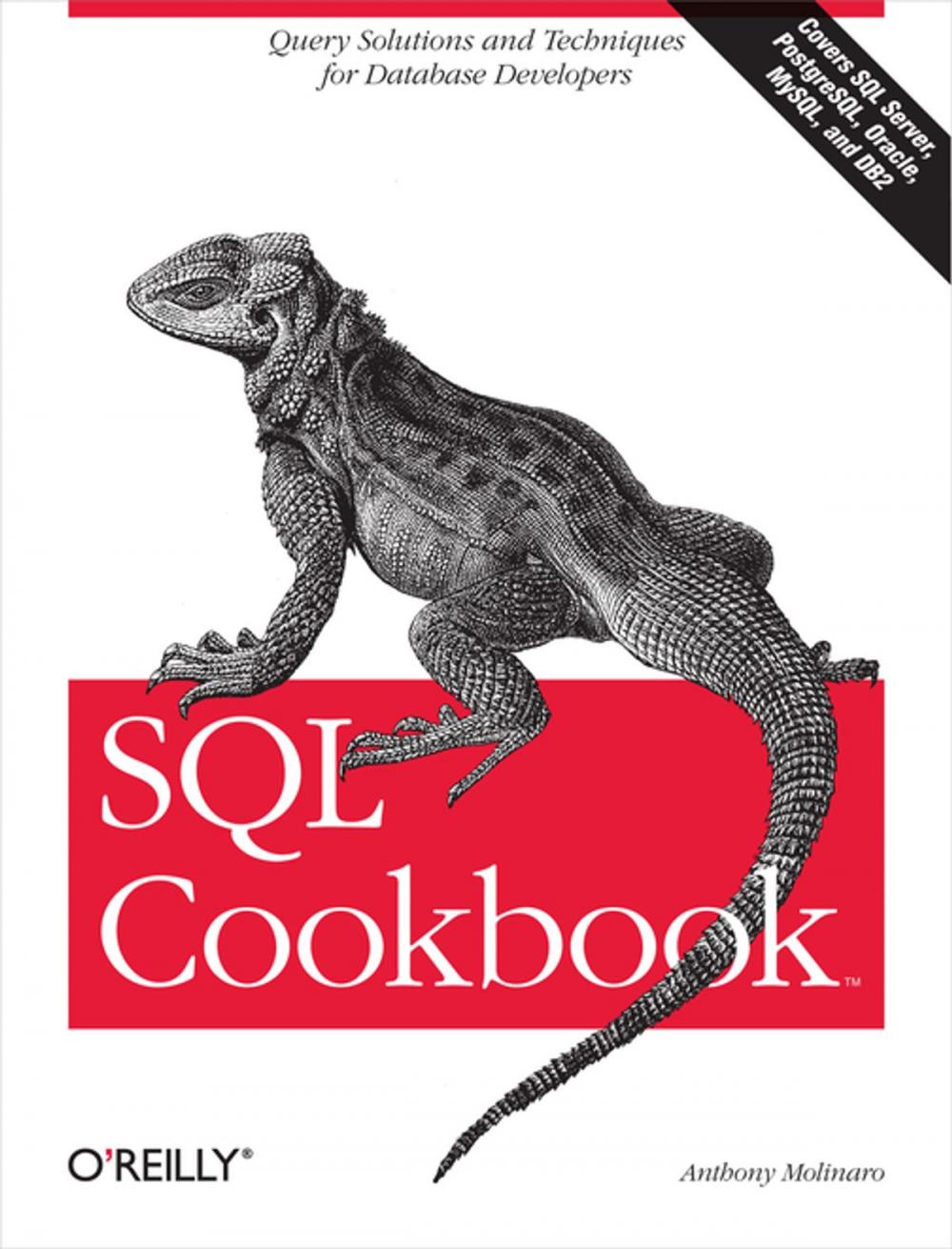 Big bigCover of SQL Cookbook