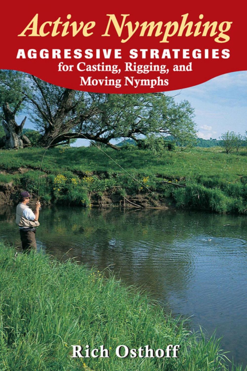 Big bigCover of Active Nymphing