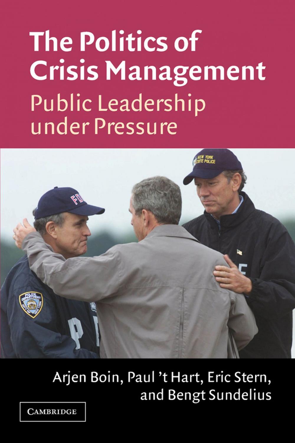 Big bigCover of The Politics of Crisis Management