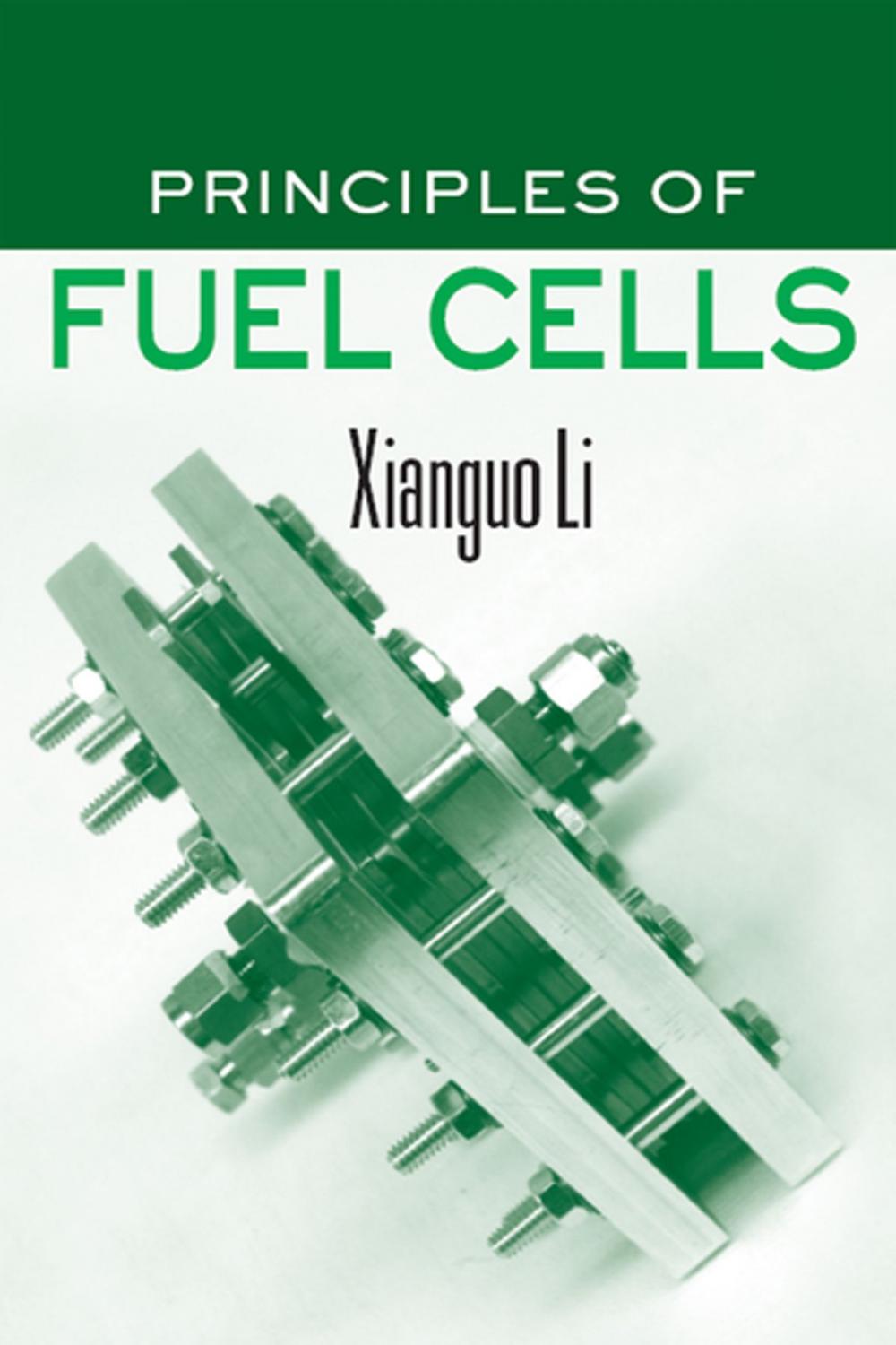 Big bigCover of Principles of Fuel Cells