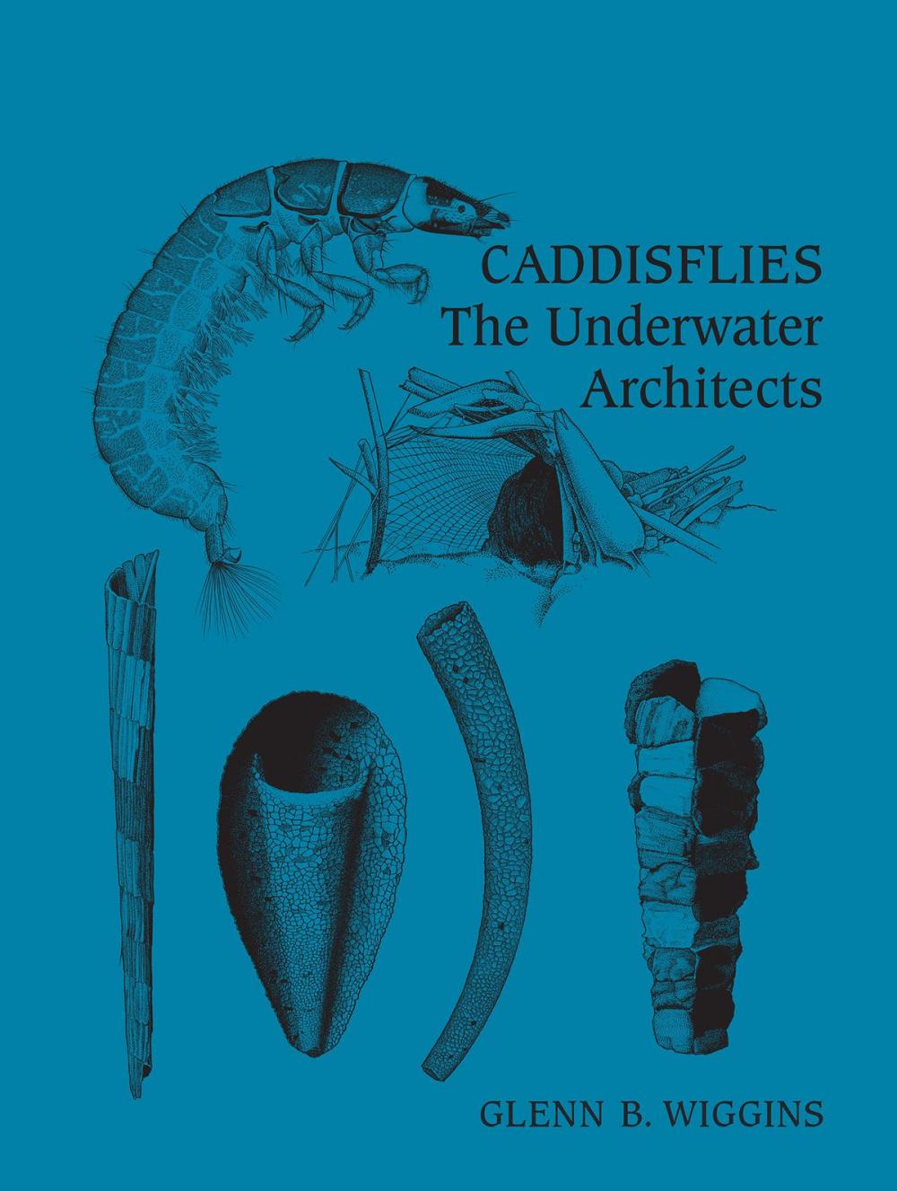 Big bigCover of Caddisflies