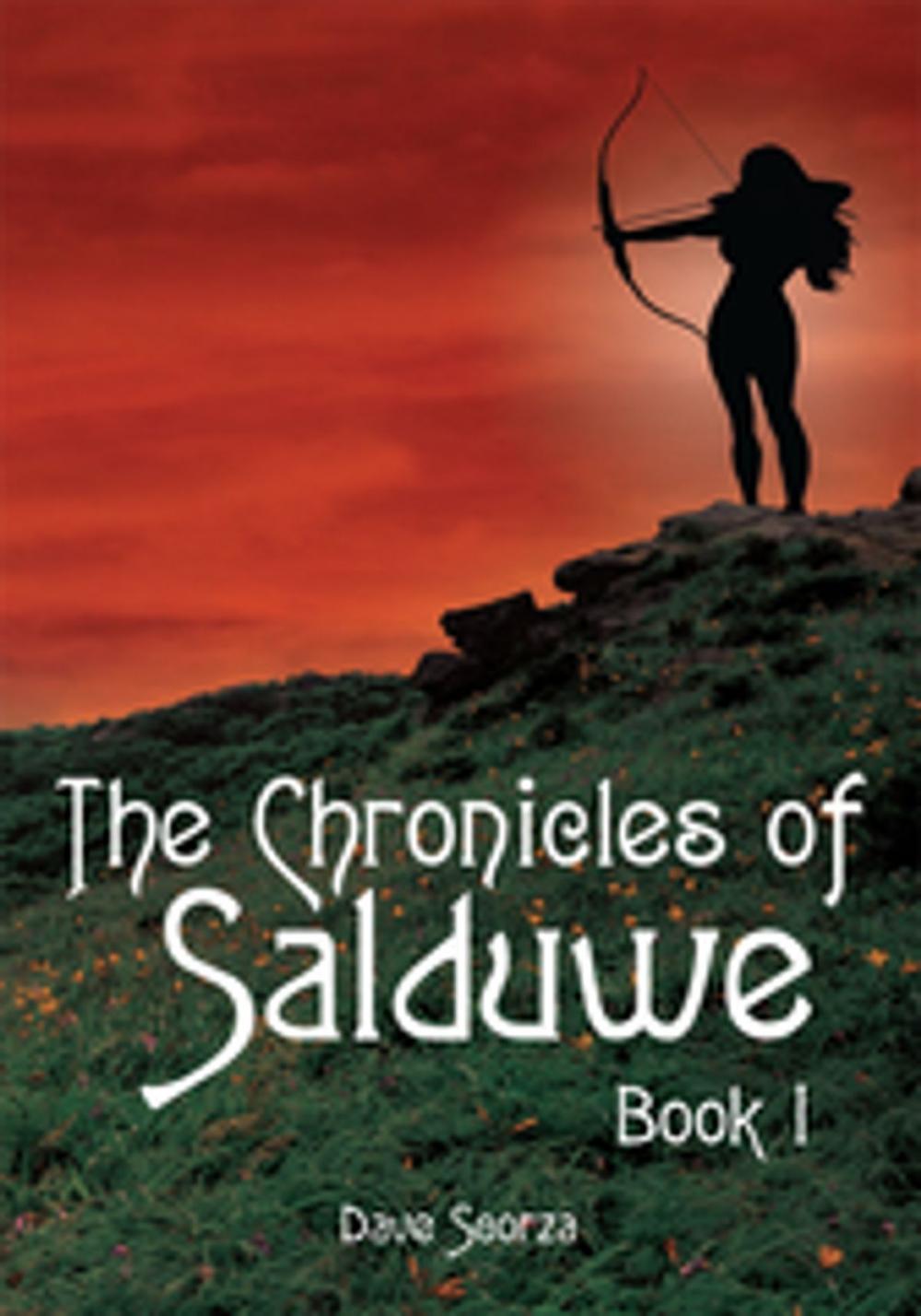 Big bigCover of The Chronicles of Salduwe Book I