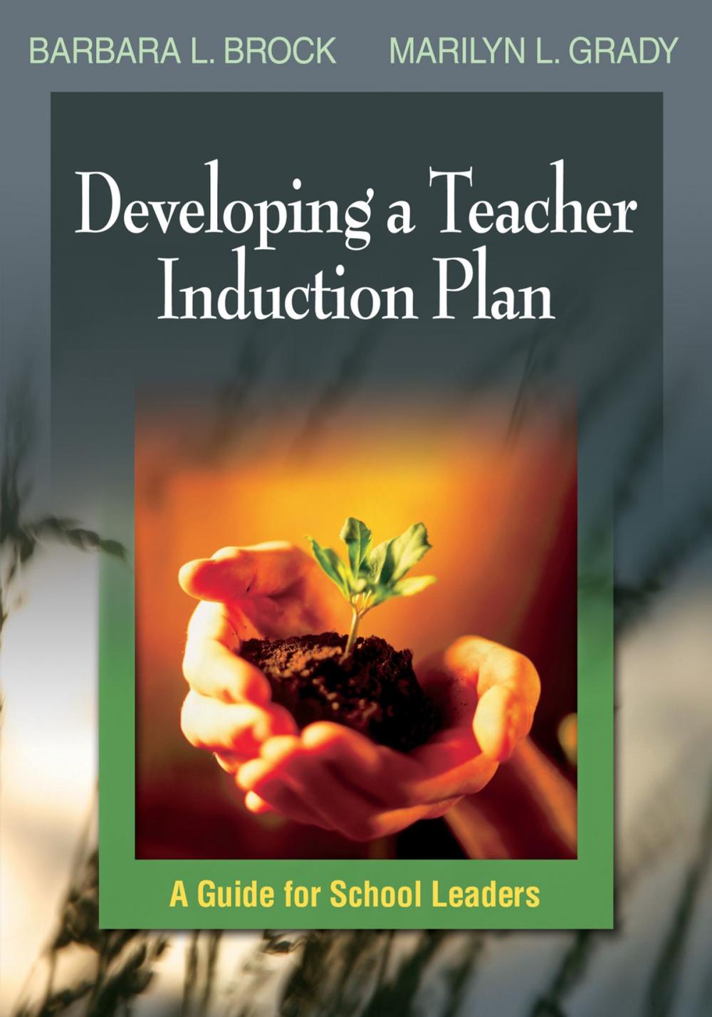 Big bigCover of Developing a Teacher Induction Plan